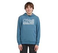 O´neill Sweat à Capuche Essentials