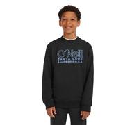 O´neill Sweat-shirt Essentials