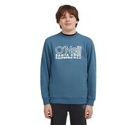 O´neill Sweat-shirt Essentials