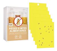 O³ Pièges à Mites Alimentaires Lot de 6 Anti Mite Alimentaire Produit Puissant Piège Collant pour Cuisine Et Placard Piège à Phéromones Efficace Non Toxique