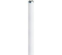 [O1067241] Osram Tube néon ACTIVE L 8W/840 G5 288mm
