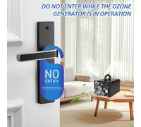 O3 Generator Air and Water Modes Ionizer Purificateur pour Home Car Office Basement Garage (Plug 30g et UE)