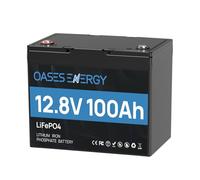 Oaesenergy Batterie Lithium 12V 100Ah Mini, Batterie LiFePO4 Rechargeable avec BMS 100A, Batterie au Lithium 1280 Wh, pour Camping Car, Système Off-Grid, Bateau, Caravane, Solaire
