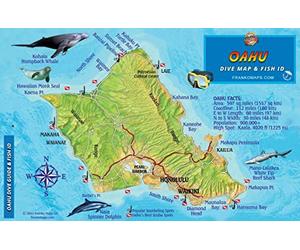 Oahu Hawaii Map & Coral Reef Creatures Guide Franko Maps Laminated Fish Card