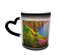 Oaieltj Mug à changement de chaleur, les falaises irlandaises de Moher avec de belles fleurs sauvages personnalisées, sensible à la chaleur, tasse à café, tasse à thé, tasse à café magique