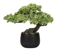 Oairse Bonsaï artificiel dans des pots en céramique - Bonsaï japonais artificiel décoratif - Plantes artificielles pour maison, table, bureau, salle de bain, étagère de chambre à coucher, décoration