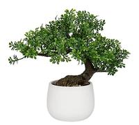 Oairse Bonsaï Artificiel dans Pots en Céramique - Japonais Décoratif - Plantes pour Maison, Table, Bureau, Salle de Bain, Étagère de Chambre à Coucher, Décoration
