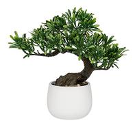 Oairse - Bonsaï Artificiel - Podocarpus - 25 cm - Pot en Céramique - Plantes Artificielles - Bonsaï Japonais - Décoration pour Salon, Chambre à Coucher, Salle de Bain, Rebord de Fenêtre