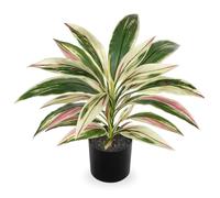 Oairse Dracaena Plante artificielle en pot avec pot noir - Plante tropicale artificielle pour salle de bain, salon, bureau, étagère - Rose - 48 cm