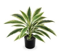 Oairse Dracaena Plante artificielle en pot avec pot noir - Plante tropicale artificielle pour salle de bain, salon, bureau, étagère - Blanc et vert - 48 cm