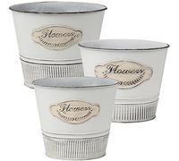 Oairse Lot de 5 pots de fleurs en métal galvanisé vintage en zinc pour plantes ou décoration de ferme moderne d'intérieur ou d'extérieur