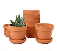 Oairse Lot de 6 pots de fleurs en terre cuite 8x7,5 cm Mini pot en argile avec trou de drainage et soucoupes pour petites plantes de cactus, petites plantes succulentes, pot de pépinière pour plantes