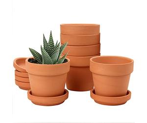 Oairse Lot de 6 pots de fleurs en terre cuite 8x7,5 cm Mini pot en argile avec trou de drainage et soucoupes pour petites plantes de cactus, petites plantes succulentes, pot de pépinière pour plantes