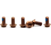 OAK Components Kit de Vis en titane M5x10 pour disques de frein à 6 trous