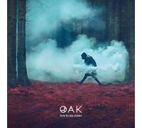 Oak Beard Care – The Third Sleep