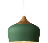 Oak Wood and Iron Finish Chandelier Creative Lamp Shade Industrial Pendant Light Decor Ceiling Lighting Nordic Dining Room Hanging Lights for Living Room,Kitchen Island(Green,30CM)