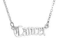 OAKKY Pendentif Nom Signe Du Zodiaque Pour Femmes Acier Inoxydable Cadeau D'Anniversaire Pour Meilleure Amie Sœur Astrologie Horoscope Collier Layering Pour Elle