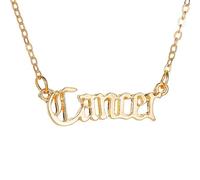 OAKKY Pendentif Nom Signe Du Zodiaque Pour Femmes Acier Inoxydable Cadeau D'Anniversaire Pour Meilleure Amie Sœur Astrologie Horoscope Collier Layering Pour Elle