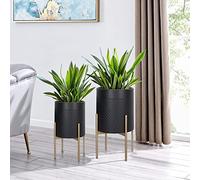 Oakrain Lot de 2 Pots de Fleurs du Milieu du siècle pour Plantes d'intérieur Modernes et décoratifs en métal pour Salon, Bureau, Jardin ou Balcon, Pot de Fleurs Noir avec Support de Plante doré, 25,4