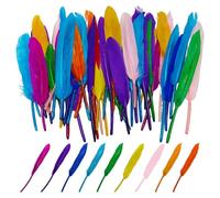 OAOSDH 150 Plumes Colorées, Matériaux D'Artisanat De Bricolage, Faits À La Main par Enfants, Matériaux De Décoration De Vêtements, des Boucles d'oreilles.