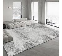 OAPOXU Tapis légers et Luxueux pour Salon, Grande Surface, Chambre à Coucher, Gris, Doux et Lavable (150 x 250 cm), Tapis lavables
