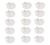 Oaqmvgin Coquillages de mer blancs de 10 à 11,9 cm | Quinze disques de coquillages de 10 à 11 cm en blanc brillant, soigneusement nettoyés et prêts pour le bricolage