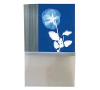 Oaqmvgin Papier d'impression solaire Cyanotype A5 avec outil en plastique | Comprend 32 feuilles de papier solaire et un dossier de protection pour garder les impressions organisées