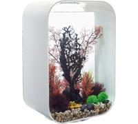 OASE 72061 biOrb LIFE 60 MCR blanc