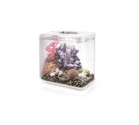 Oase - Aquarium 15l Led Blanc Flow 15 Mcr White