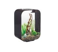Oase - Aquarium 15l Led Noir Life 15 Led Black