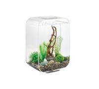 Oase Aquarium 15l led transparent - Life 15 LED transparent