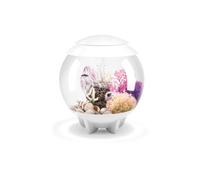 Oase - Aquarium Décoratif 15l Blanc Halo 15 Mcr White