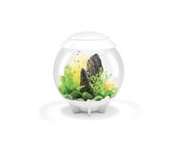 Oase Aquarium décoratif Halo 30 MCR – 30 l – Blanc