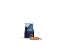 OASE Dynamix Sticks Mix 1 L, Nourriture pour Poissons, Nourriture pour Poissons de Bassin, idéal pour Les Poissons de Couleur Naturelle et Rouge mélangés, Croissance régulière