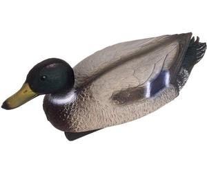 Oase Élément d'Ornement - Canard Colvert Mâle - 1 pcs