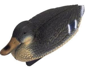 Oase Élément Ornemental - Canard colvert Femelle - 1 pcs