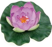 Oase PondoLily - Violet