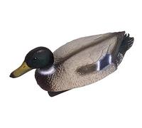 Oase Stockente Erpel Figurine de bassin Gris