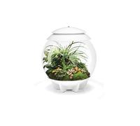 biOrb AIR 30 Blanc