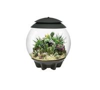 Oase - Terrarium Automatisé 30l Gris Air30grey Gris