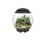 Oase - Terrarium Automatisé 30l Gris Air30grey Gris