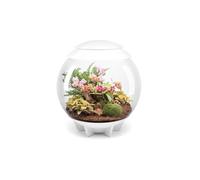 Terrarium décoratif 60l avec cadre blanc Air 60 white