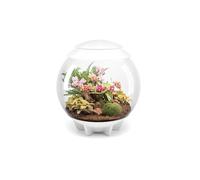 Oase Terrarium décoratif 60l avec cadre blanc - Air 60 white