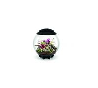 biOrb Terrarium décoratif Air 60 – 60 l – Cadre noir