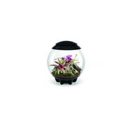 Oase - Terrarium Décoratif 60l Avec Cadre Noir Air 60 Black