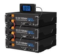 Oasesenergy 48V 300Ah Lifepo4 (3 Pack 100AH) 15kWh Lithium-Akku mit berührbarem Smart Display, 4000-15000 Lebenszyklen pour Wohnmobil, Solaire, PV, Camping-Car, Stockage d'énergie Domestique