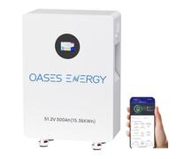 Oasesenergy Batterie au Lithium LiFePO4 48 V 300 Ah avec BMS intégré 200 A, Moniteur LCD, contrôle par Application, Batterie Solaire LiFePO4 15 kWh pour photovoltaïque, installations solaires