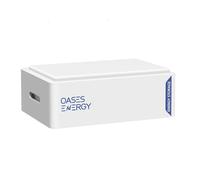 Oasesenergy Batterie LiFePO4 48 V 100 Ah au lithium, BMS intelligent 100 A intégré, 5120 Wh pour VR, système de stockage solaire, stockage d’énergie pour la maison, stockage solaire, bateau, camping