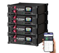 Oasesenergy Batterie LiFePO4 48V 400Ah Bluetooth avec BMS 100A, 48V Lithium 20KWh Rack Serveur, Batterie Solaire pour système Solaire Complet, idéale pour Les systèmes Hors réseau