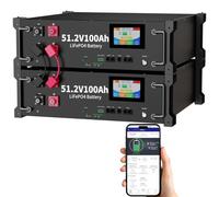 Oasesenergy LiFePO4 48 V 200Ah Bluetooth avec Batterie au Lithium 100 A BMS 48V Armoire Serveur Batterie Solaire 10 kWh, idéale pour Les systèmes Hors réseau, Les installations solaires
